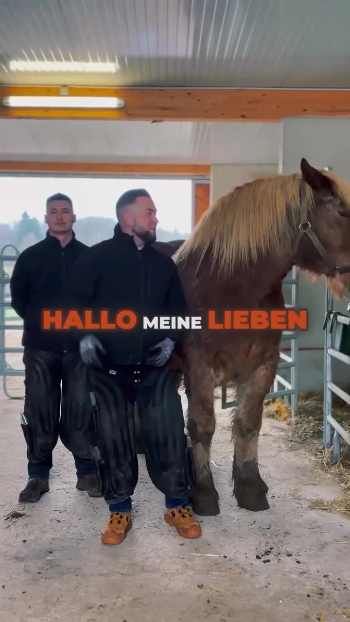 Arbeit ansehen